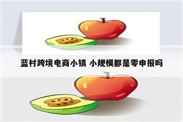 蓝村跨境电商小镇 小规模都是零申报吗