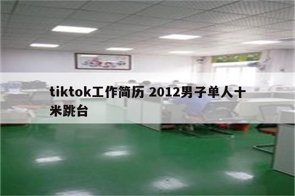 tiktok工作简历 2012男子单人十米跳台