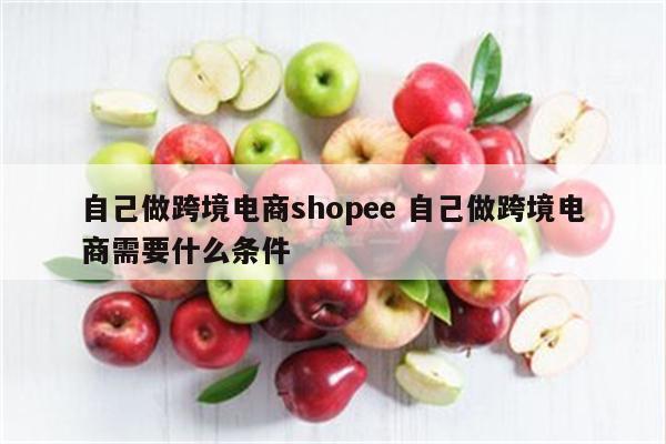 自己做跨境电商shopee 自己做跨境电商需要什么条件