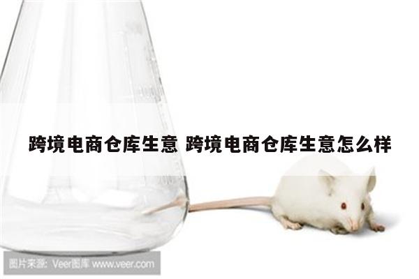 跨境电商仓库生意 跨境电商仓库生意怎么样