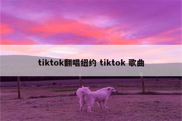 tiktok翻唱纽约 tiktok 歌曲