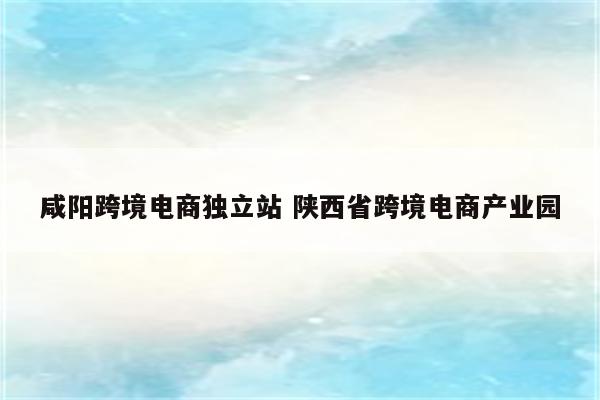 咸阳跨境电商独立站 陕西省跨境电商产业园
