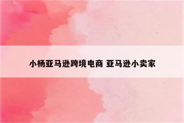 小杨亚马逊跨境电商 亚马逊小卖家
