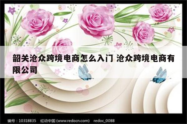 韶关沧众跨境电商怎么入门 沧众跨境电商有限公司