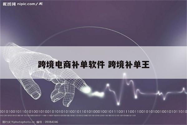 跨境电商补单软件 跨境补单王