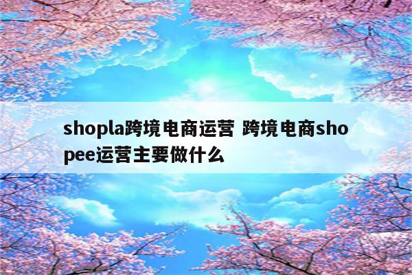 shopla跨境电商运营 跨境电商shopee运营主要做什么