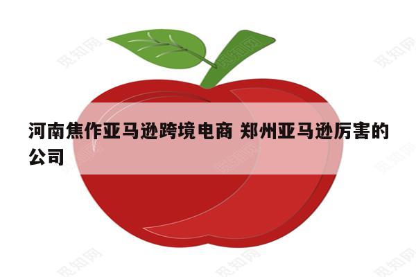 河南焦作亚马逊跨境电商 郑州亚马逊厉害的公司