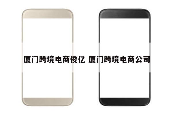 厦门跨境电商俊亿 厦门跨境电商公司