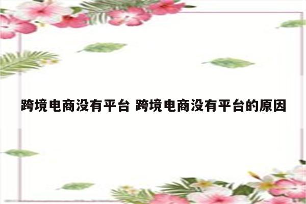 跨境电商没有平台 跨境电商没有平台的原因