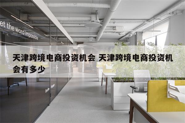 天津跨境电商投资机会 天津跨境电商投资机会有多少