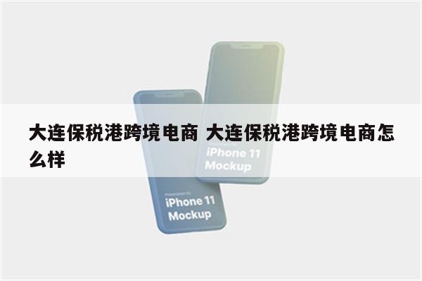大连保税港跨境电商 大连保税港跨境电商怎么样