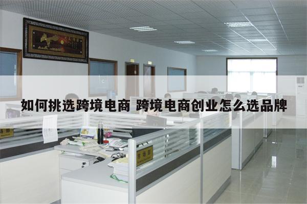 如何挑选跨境电商 跨境电商创业怎么选品牌