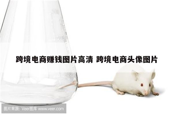 跨境电商赚钱图片高清 跨境电商头像图片