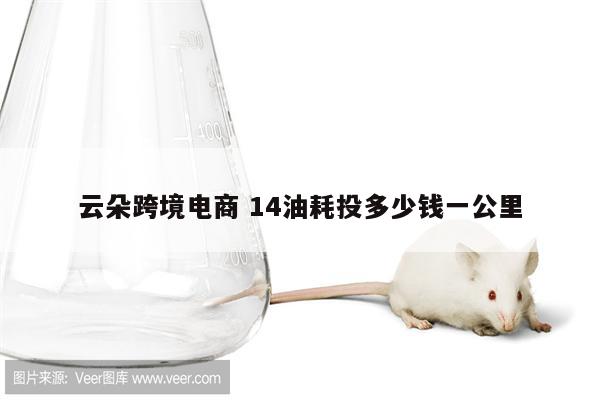 云朵跨境电商 14油耗投多少钱一公里