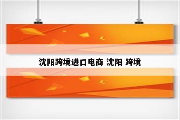 沈阳跨境进口电商 沈阳 跨境