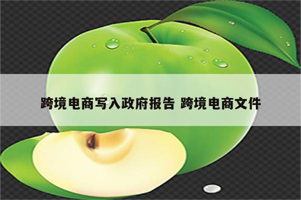 跨境电商写入政府报告 跨境电商文件