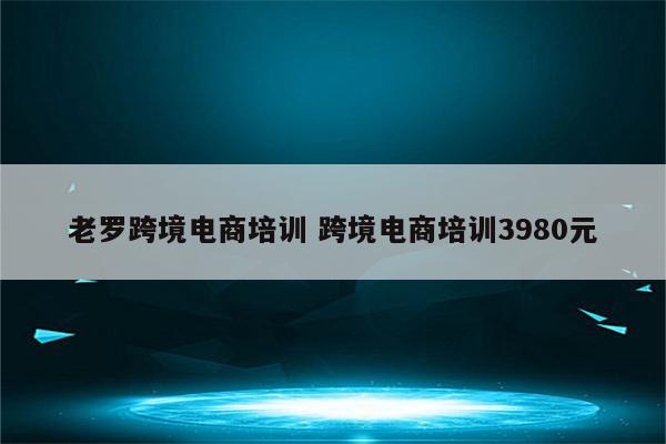 老罗跨境电商培训 跨境电商培训3980元