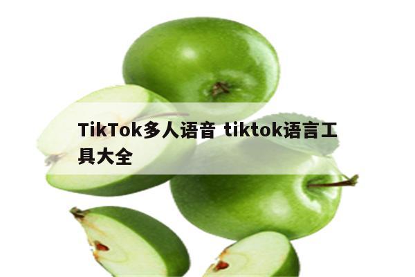 TikTok多人语音 tiktok语言工具大全