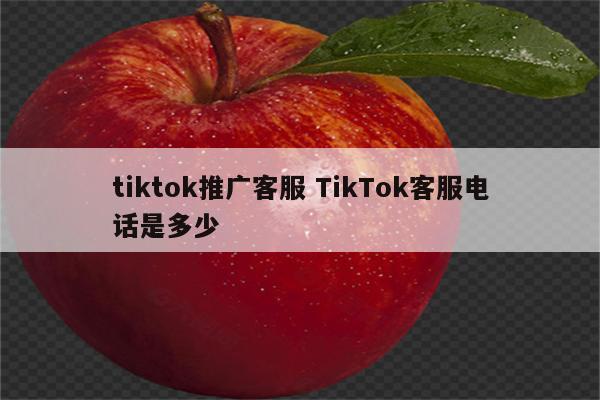 tiktok推广客服 TikTok客服电话是多少