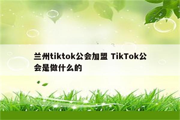 兰州tiktok公会加盟 TikTok公会是做什么的