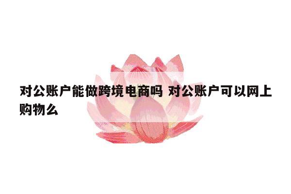 对公账户能做跨境电商吗 对公账户可以网上购物么