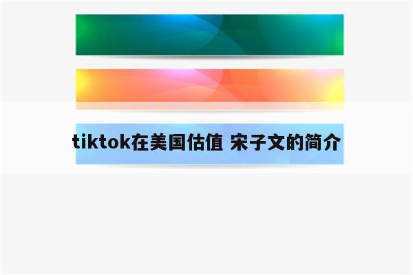 tiktok在美国估值 宋子文的简介