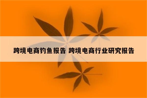 跨境电商钓鱼报告 跨境电商行业研究报告