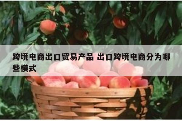 跨境电商出口贸易产品 出口跨境电商分为哪些模式