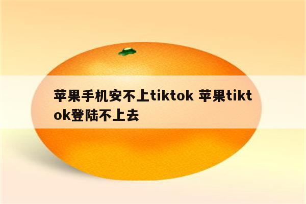 苹果手机安不上tiktok 苹果tiktok登陆不上去