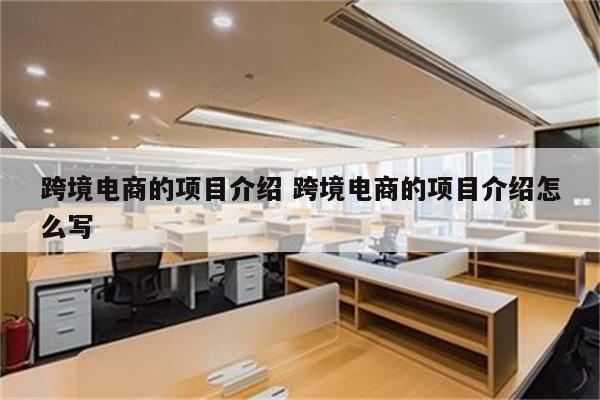 跨境电商的项目介绍 跨境电商的项目介绍怎么写