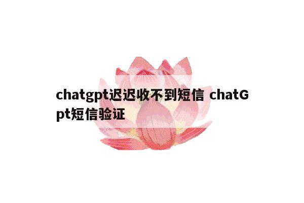 chatgpt迟迟收不到短信 chatGpt短信验证