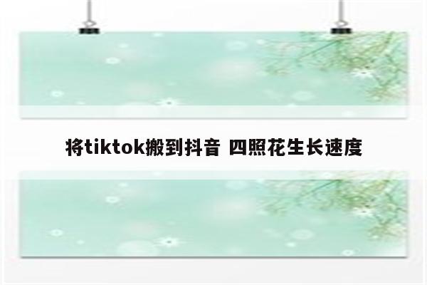 将tiktok搬到抖音 四照花生长速度
