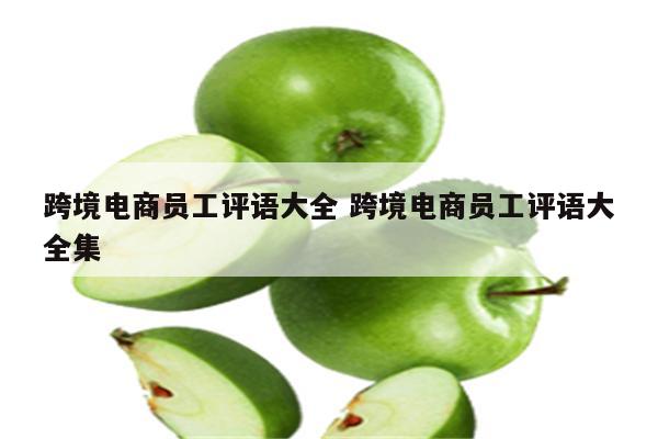 跨境电商员工评语大全 跨境电商员工评语大全集