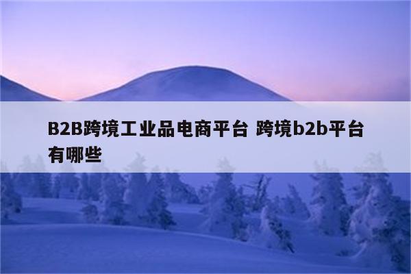 B2B跨境工业品电商平台 跨境b2b平台有哪些