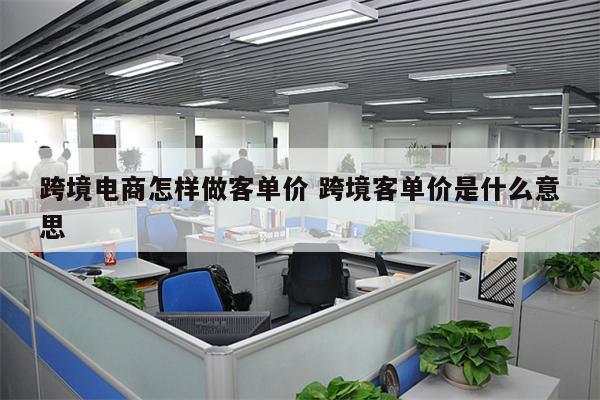 跨境电商怎样做客单价 跨境客单价是什么意思
