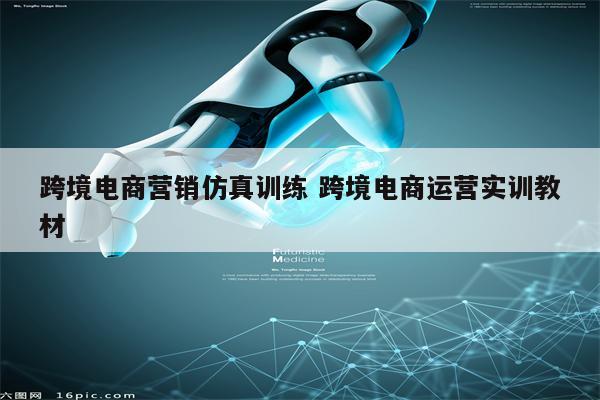 跨境电商营销仿真训练 跨境电商运营实训教材
