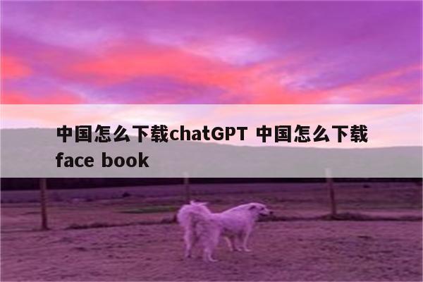 中国怎么下载chatGPT 中国怎么下载face book
