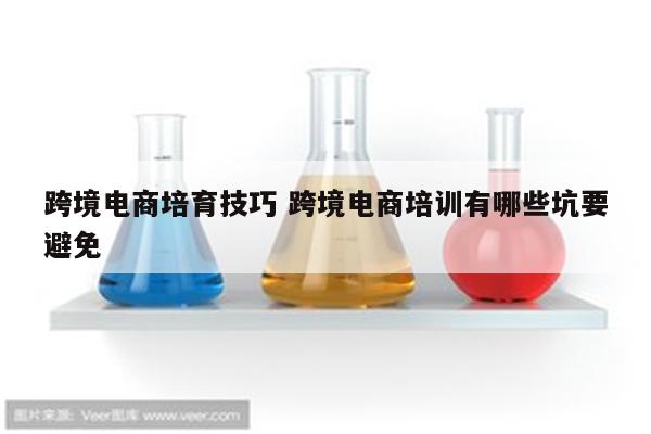 跨境电商培育技巧 跨境电商培训有哪些坑要避免