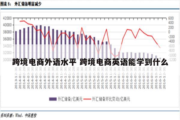 跨境电商外语水平 跨境电商英语能学到什么