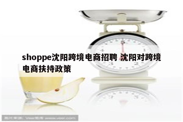 shoppe沈阳跨境电商招聘 沈阳对跨境电商扶持政策