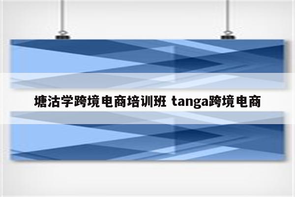 塘沽学跨境电商培训班 tanga跨境电商