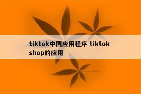 tiktok中国应用程序 tiktok shop的应用
