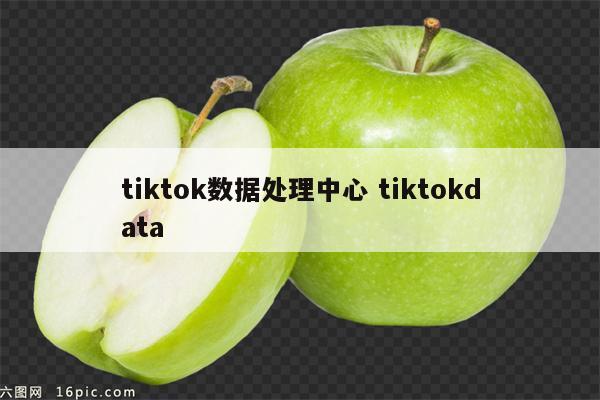 tiktok数据处理中心 tiktokdata
