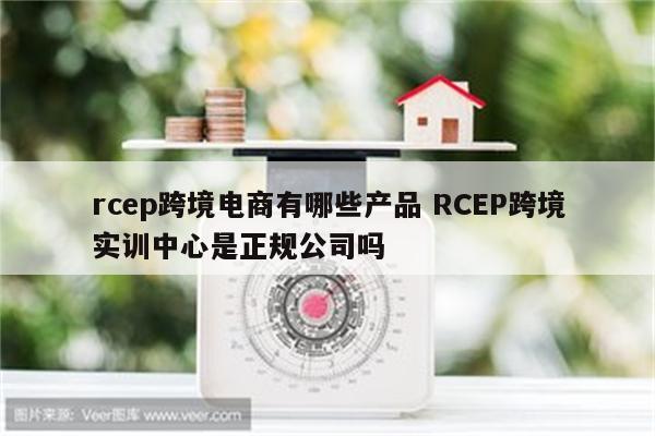 rcep跨境电商有哪些产品 RCEP跨境实训中心是正规公司吗