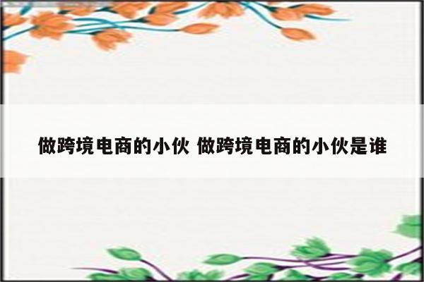 做跨境电商的小伙 做跨境电商的小伙是谁