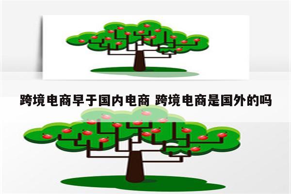 跨境电商早于国内电商 跨境电商是国外的吗