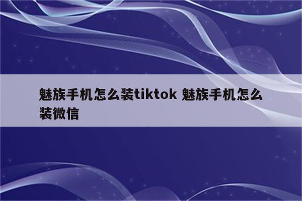 魅族手机怎么装tiktok 魅族手机怎么装微信