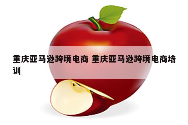 重庆亚马逊跨境电商 重庆亚马逊跨境电商培训