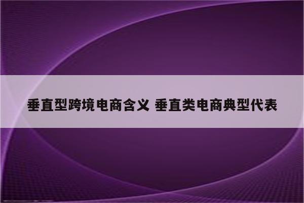 垂直型跨境电商含义 垂直类电商典型代表