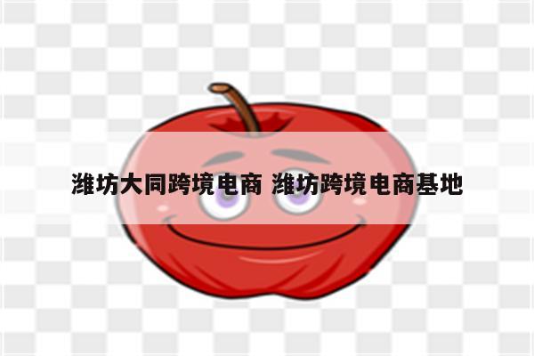 潍坊大同跨境电商 潍坊跨境电商基地